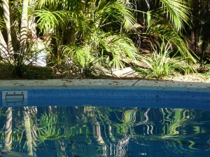 the garden pool